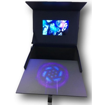 Video Box With Reveal Feature