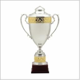 29" Estate Award Winner Trophy