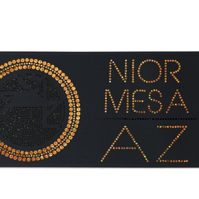 5" Badge Satin Ribbon - 25yd Roll - Sparkle