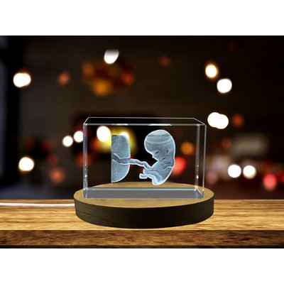 Third Month Foetus 3D Engraved Crystal Trophy Award - Pregnancy Keepsake