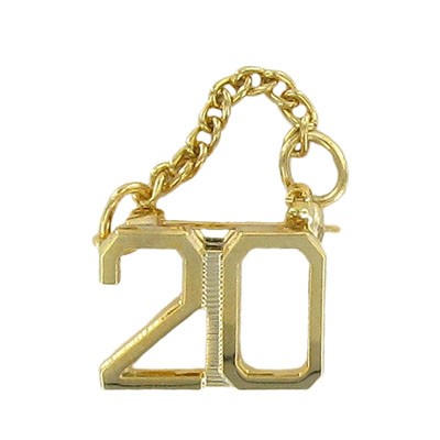 20 Year Guard Pin with Chain
