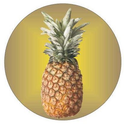 Pineapple Round Badge w/ Bar Pin (2 1/2" Diameter)