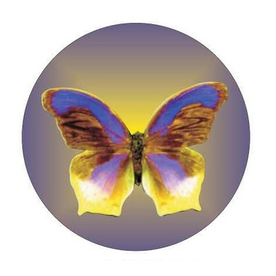 Purple & Yellow Butterfly Round Metal Photo Magnet (2 1/2")