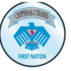 Custom Shape Clear Permanent Adhesive Vinyl Decal (24.1 Up to 36 Square Inch)