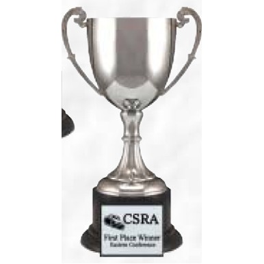 9 1/2" Tuscany Series Metal Trophy Cup Mounted on Synthetic Base