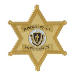 Die Struck Polished & Sandblasted Imported Lapel Pins (1")