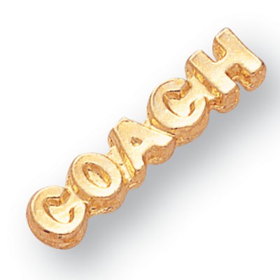 Gold Coach Chenille Pin