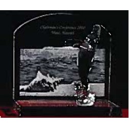 Crystal Miami Beachscape Award w/Crystal Whale