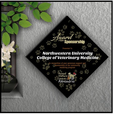 17" Diamond Black Acrylic Plaque