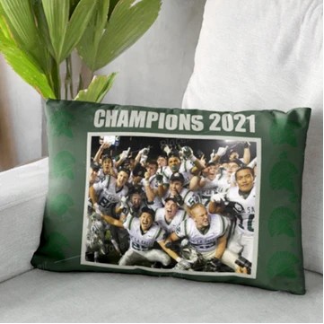 Velvet Pillow Case Cover (30'' x 20'')