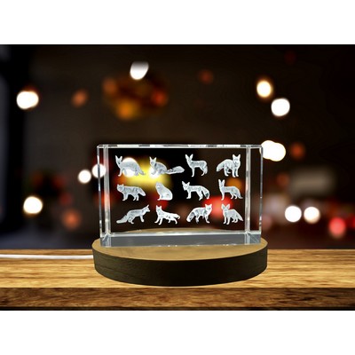 Genus Vulpes 3D Engraved Crystal Trophy Award w/LED Base - Wildlife Art