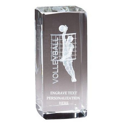 Crystal Cube Volleyball Male