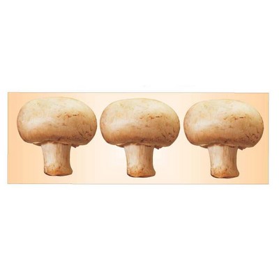 Mushroom Panoramic Metal Photo Magnet