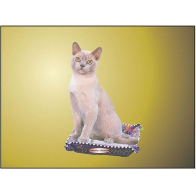 American Burmese Cat Rectangle Badge w/ Bar Pin (2 1/2"x3 1/2")