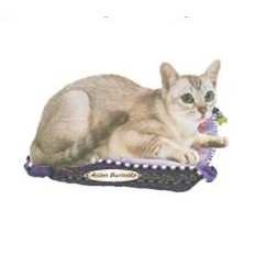 Asian Burmilla Cat Mighty Mini Magnet