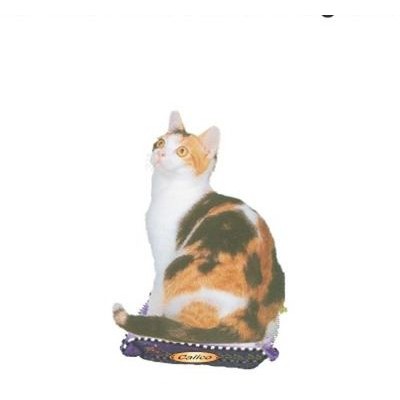 Calico Cat Cat Executive Magnet w/ Full Magnetic Back (6 Square Inch)
