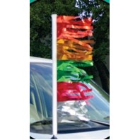 Metallic Fringe Pennants