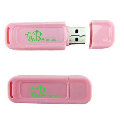 Custom Plastic USB Flash Drive