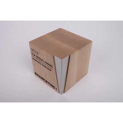 Cube Award – Mariano