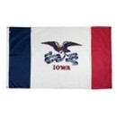 Iowa Indoor Parade Flag w/ Pole Hem (4'x6')