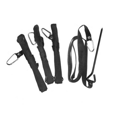 Tent Rope and Stakes (Pack of 4)