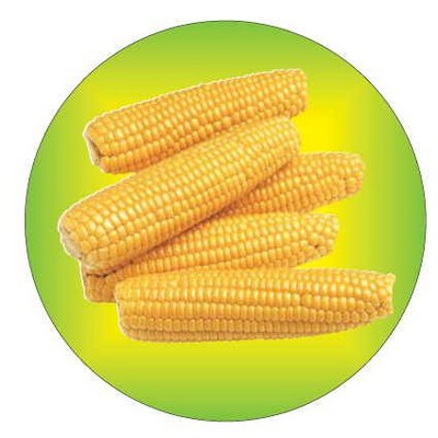 Corn On Cob Round Metal Photo Magnet (2½")