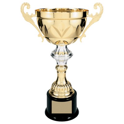Metal Cup with Handles Trophy on Plastic Base - ACU09