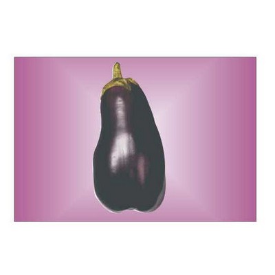 Eggplant Rectangle Metal Photo Magnet (2"x3")
