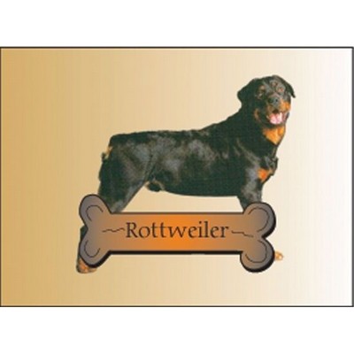 Rottweiler Dog Rectangle Metal Photo Magnet (2"x3")