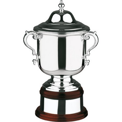 Swatkins Supreme League Champion's Plain Cup Award