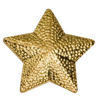 Star Lapel Pin