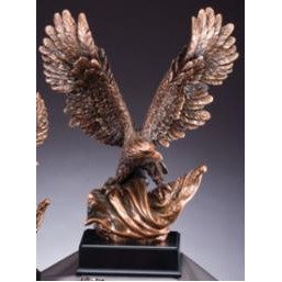 19" Gold Eagle Splash Award