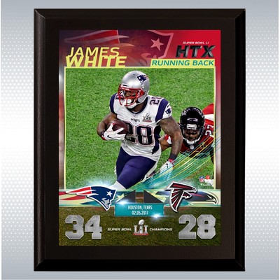 Black Matte Finish Wood Plaque w/Full Color Sublimated Plate (7" x 9")