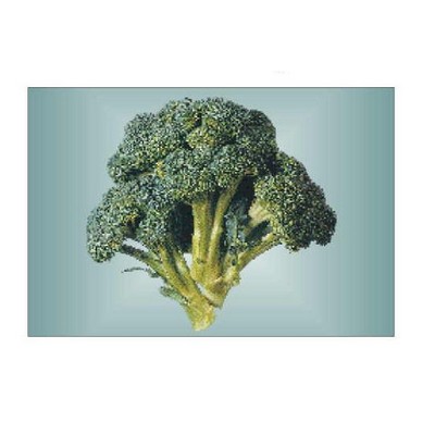 Broccoli Rectangle Badge w/ Bar Pin (2"x3")