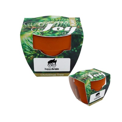 Mini Terracotta Grow Kit - Plant Joy