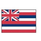 2'x3' Hawaii State Nylon Outdoor Flag - Style A