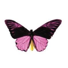 Black & Purple Butterfly Lapel Pin