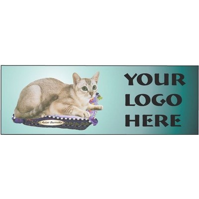 Asian Burmilla Cat Panoramic Badge w/ Bar Pin