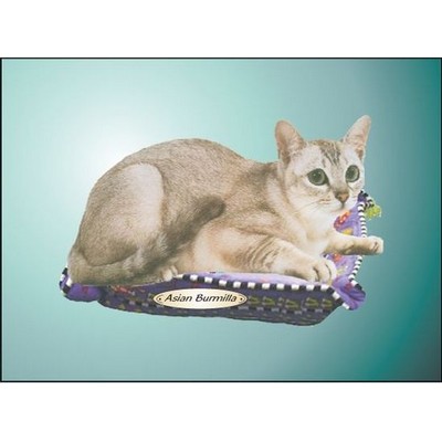 Asian Burmilla Cat Rectangle Badge w/ Bar Pin (2"x3")