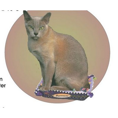 Burmese Cat Acrylic Coaster w/Felt Back
