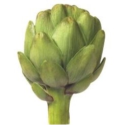 Chartreux Cat Promotional Line Keychain w/ Black Back (10 Square Inch)