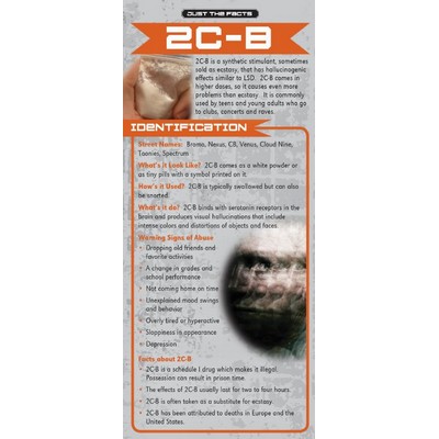 2C-B Just the Facts Rack Card (4" x 9")