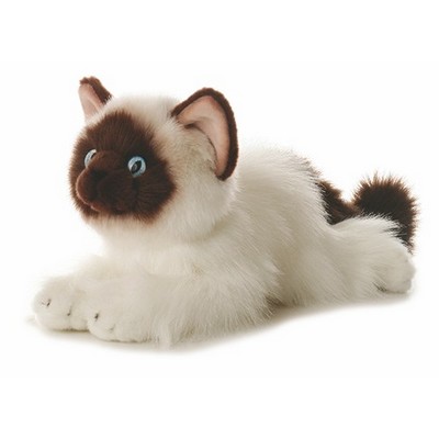 12" Bella Siamese Cat