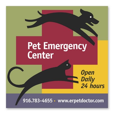 Square Magnet 3 1/2 x 3 1/2