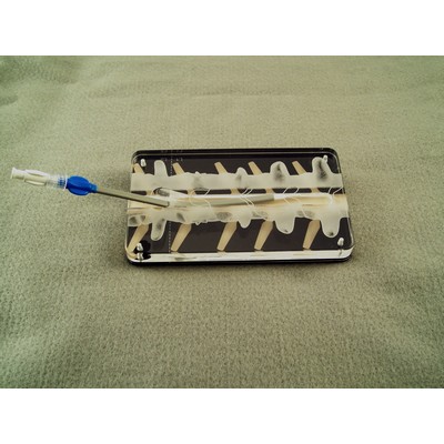 Epiducer Training Model