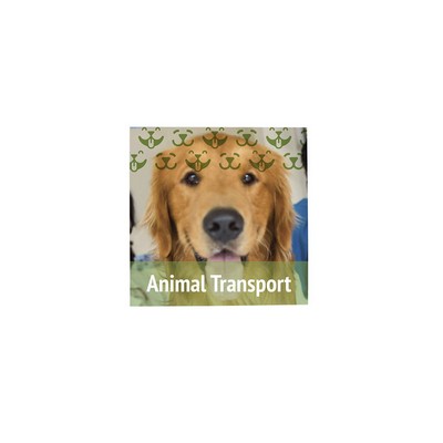 12"x12" Magnet Promo Sign