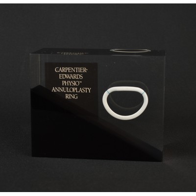 Lucite Rectangle Embedment Award (5 1/2"x6"x7/8")