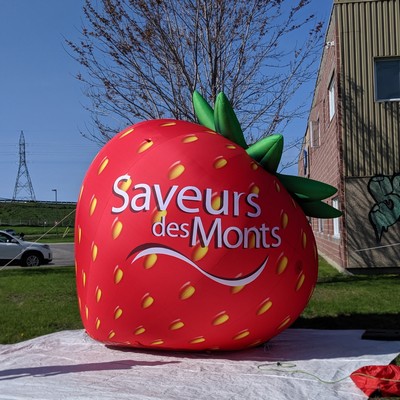 Inflatable Structure - Customized