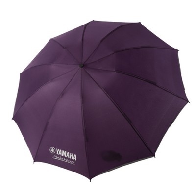 Custom Branded Umbrella with 10 Ribs