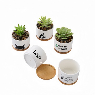 Desktop Ceramic Plant Pot